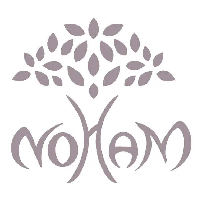 logo Noham